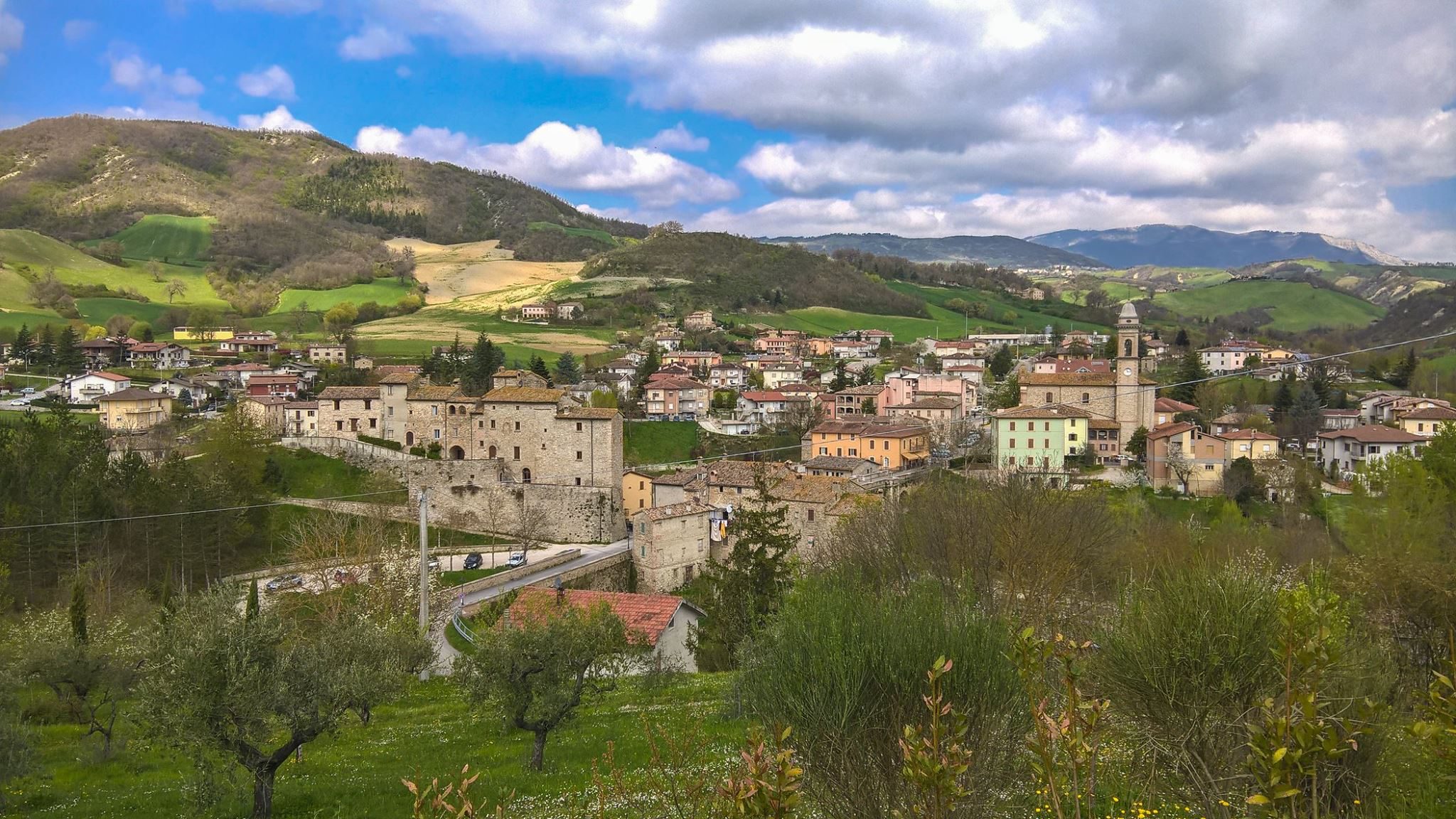 Montefeltro - Il Tartufeltro, Tartufi del Montefeltro di alta qualità