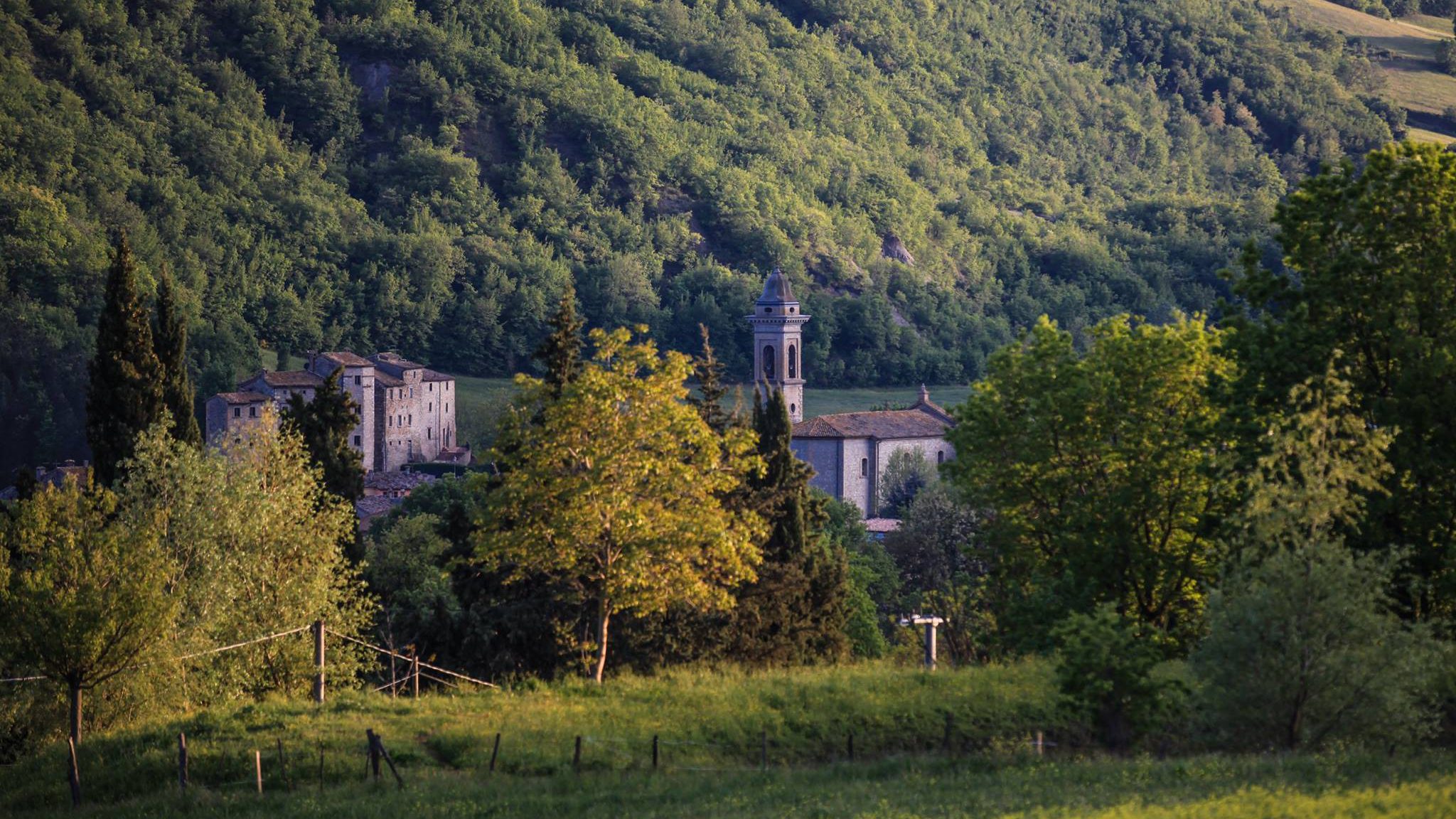 Montefeltro - Il Tartufeltro, Tartufi del Montefeltro di alta qualità