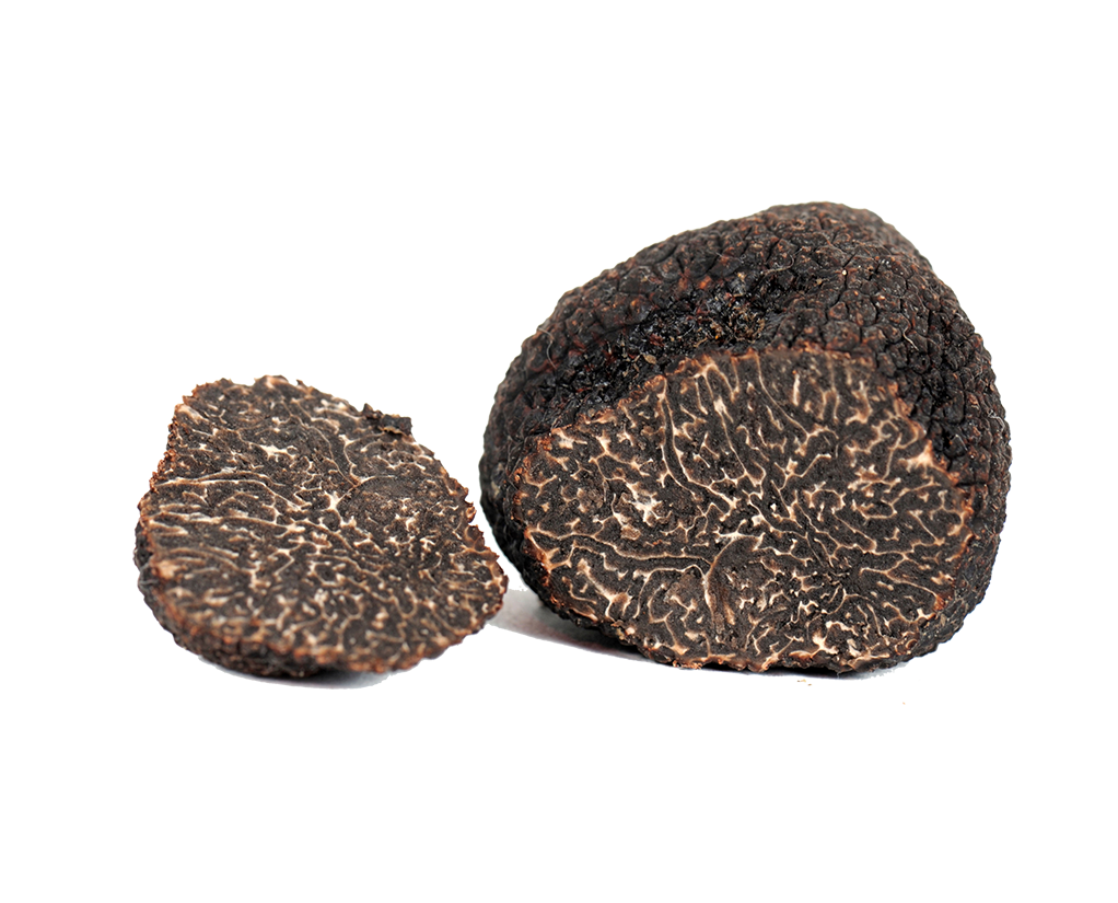 Tartufo nero pregiato - Il Tartufeltro, Tartufi del Montefeltro di alta qualità