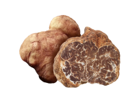 Tuber Albidum Pico - Il Tartufeltro, Tartufi del Montefeltro di alta qualità