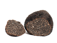 Tartufo nero pregiato - Il Tartufeltro, Tartufi del Montefeltro di alta qualità