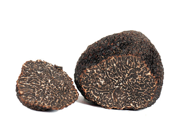 Tartufo nero pregiato - Il Tartufeltro, Tartufi del Montefeltro di alta qualità