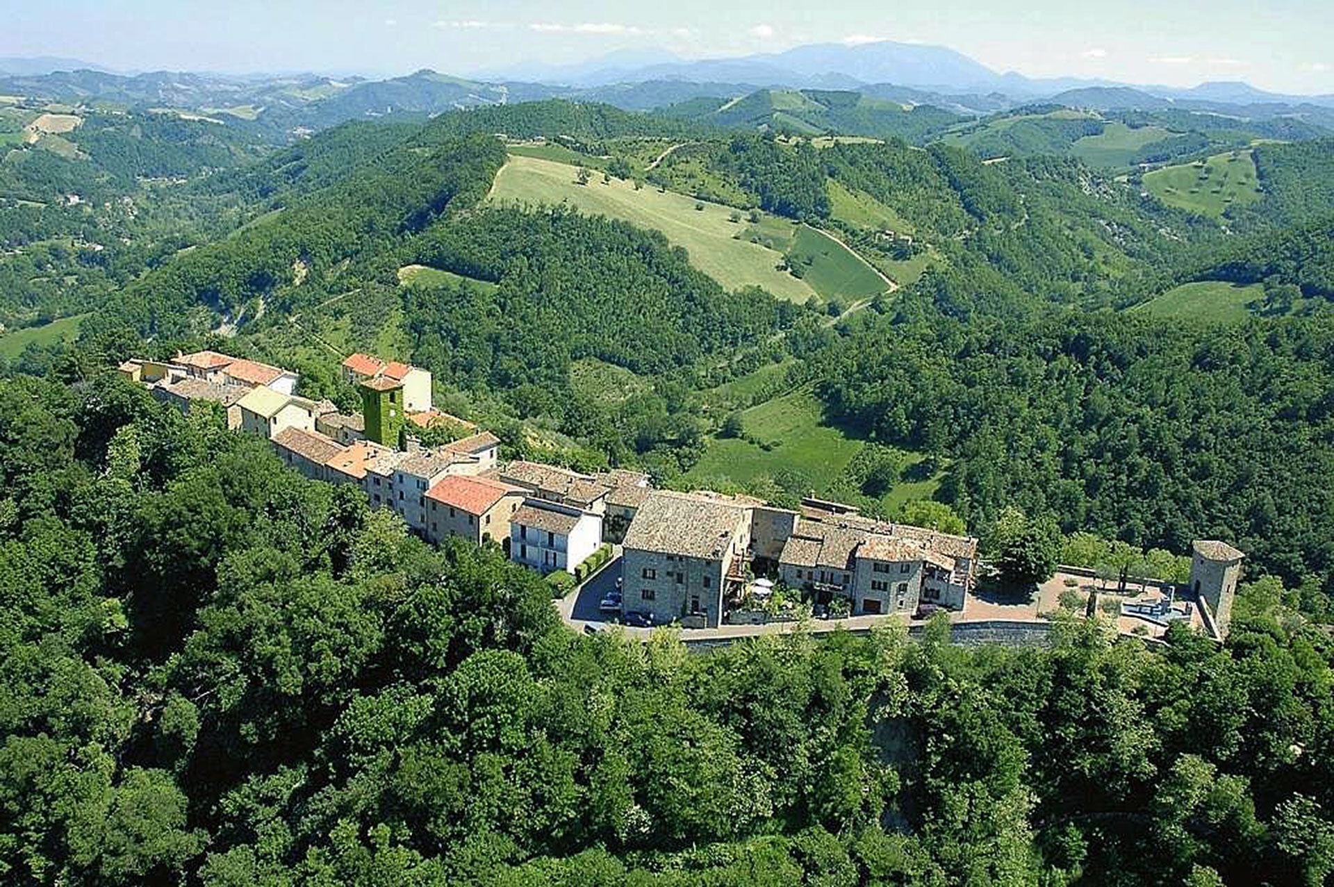 Montefeltro - Il Tartufeltro, Tartufi del Montefeltro di alta qualità