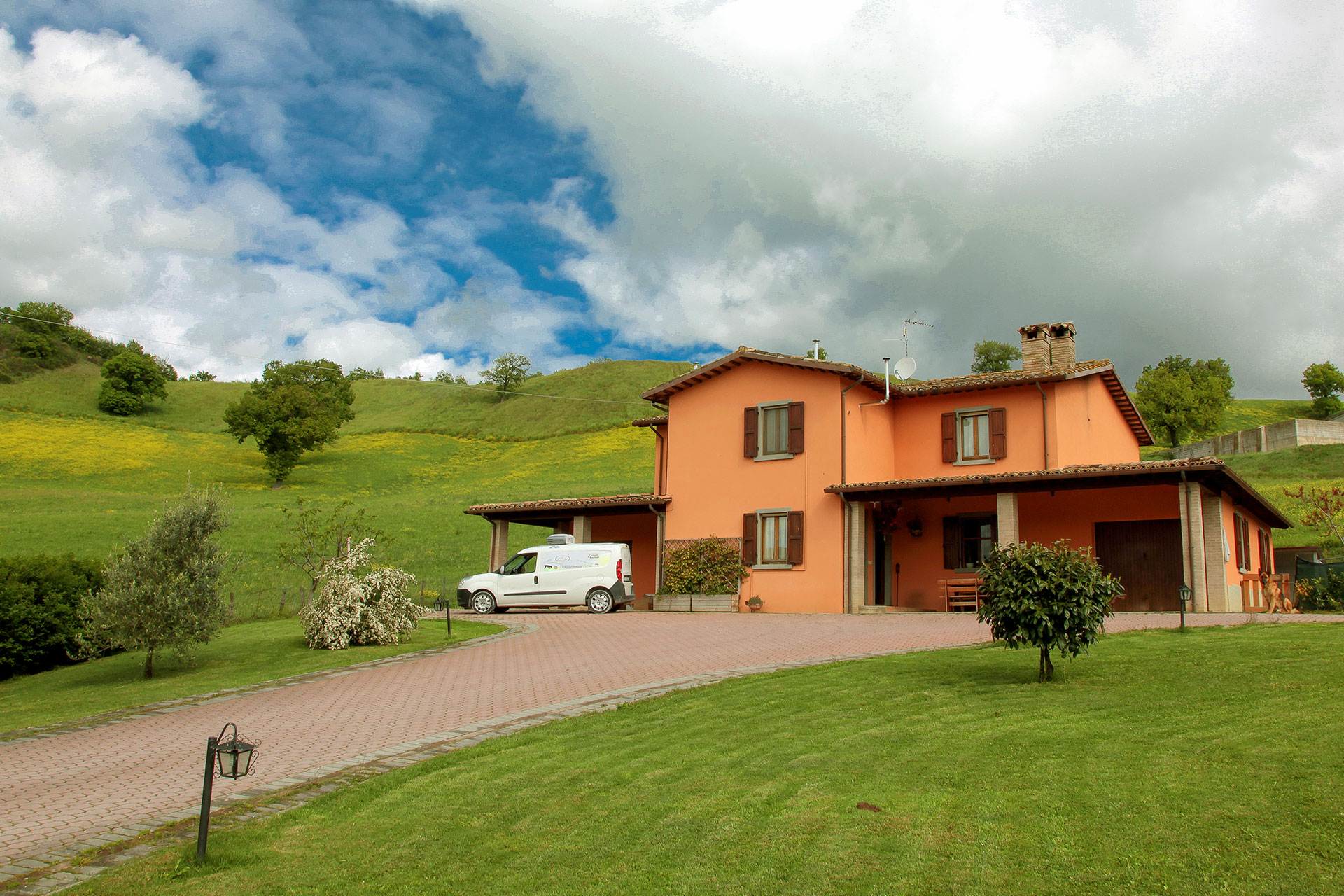 Azienda - Il Tartufeltro, Tartufi del Montefeltro di alta qualità