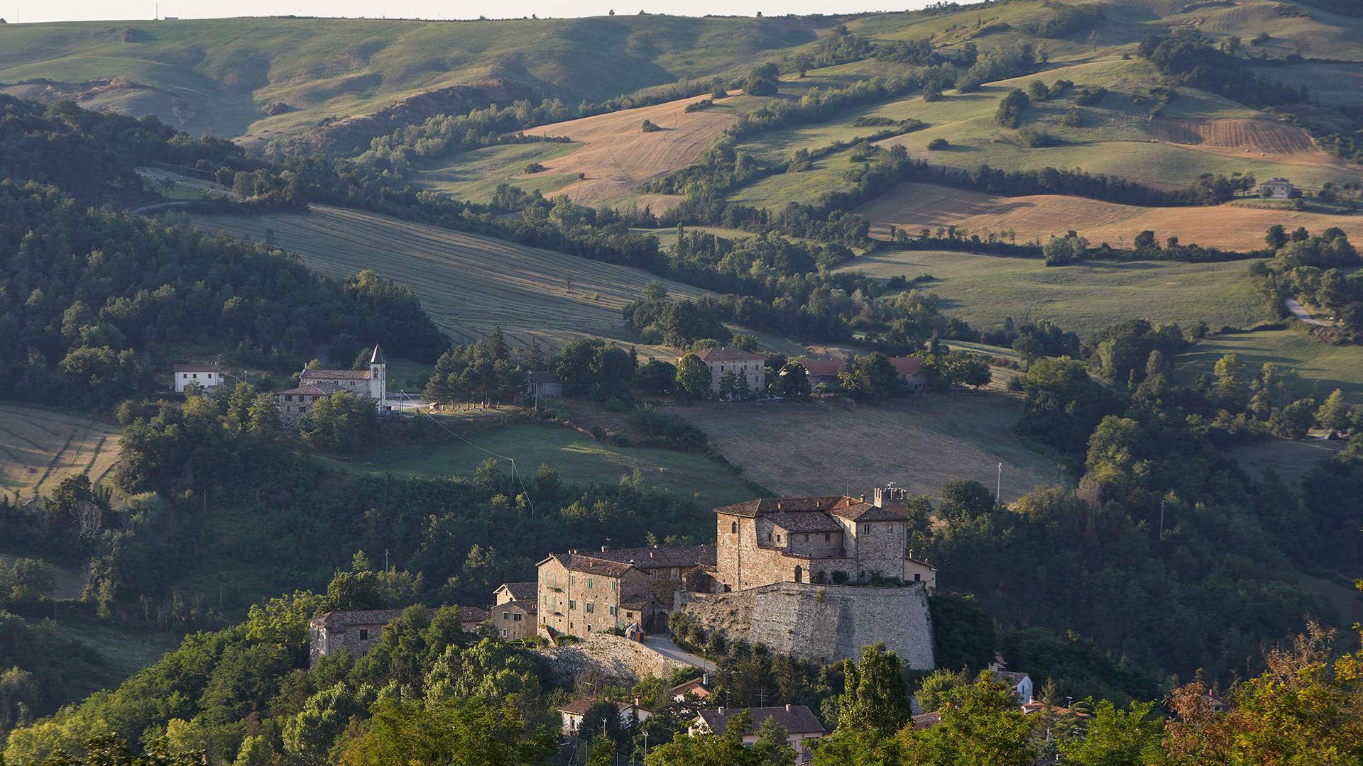 Montefeltro - Il Tartufeltro, Tartufi del Montefeltro di alta qualità